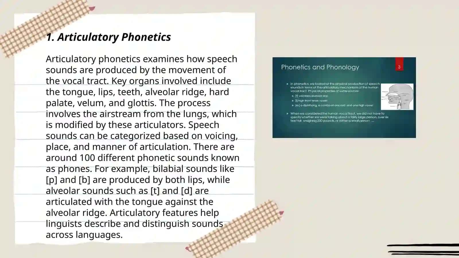 Articulatory Phonetics 3
