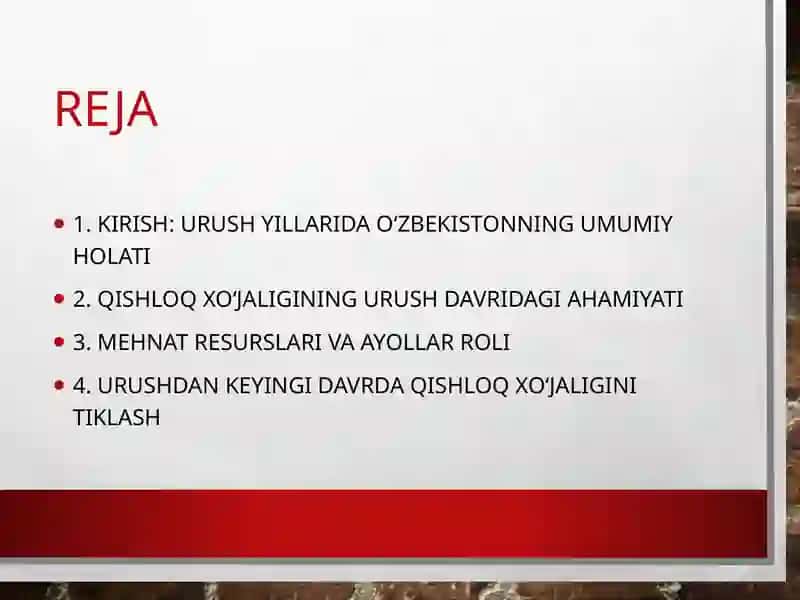 Reja qishloq xo'jaligi 3
