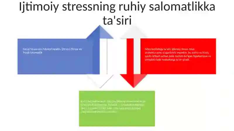 Ijtimoiy Stress Va Psixik Salomatlik 3