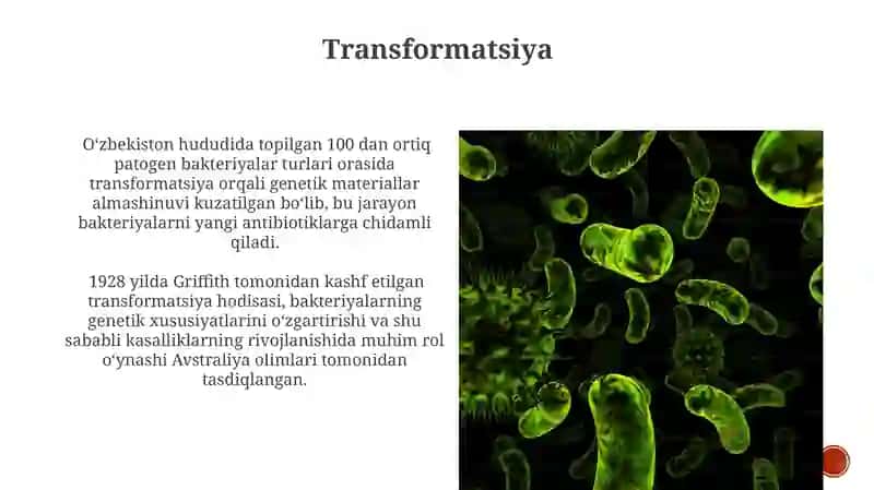 Biozararlovchi bakteriyalar klassifikatsiyasi 3