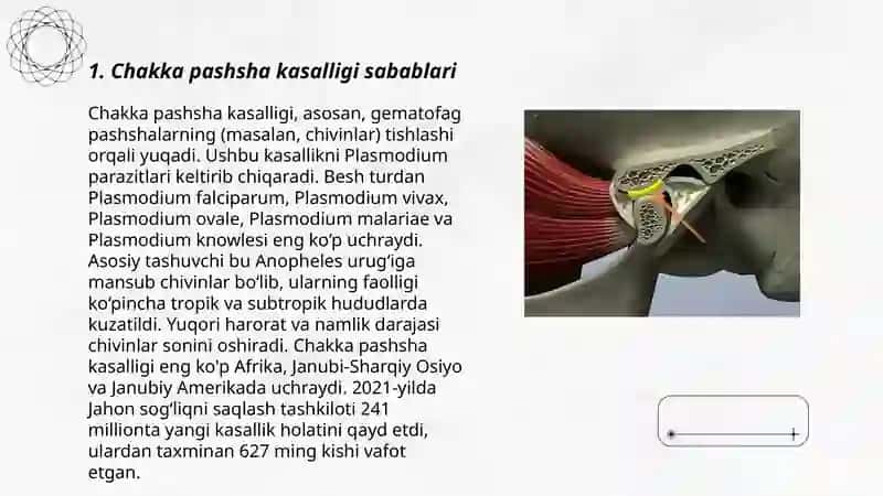 Chakka pashsha kasalligi sabablari 3