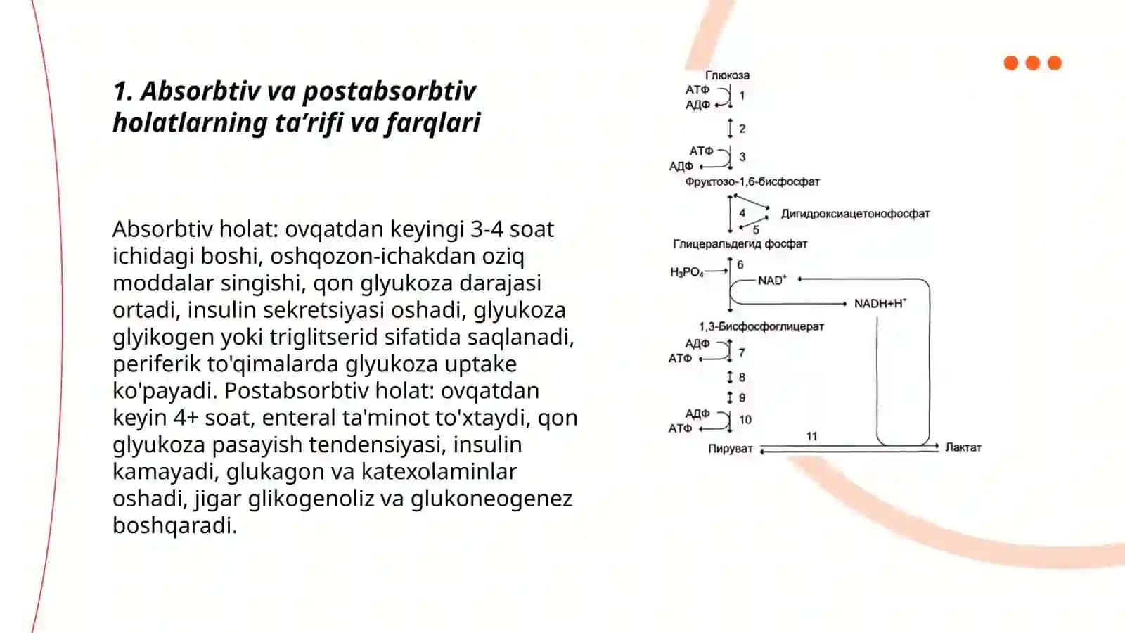 Absorbtiv va postabsorbtiv holatlarda qonda glyukoza miqdorini boshqarilishi 3