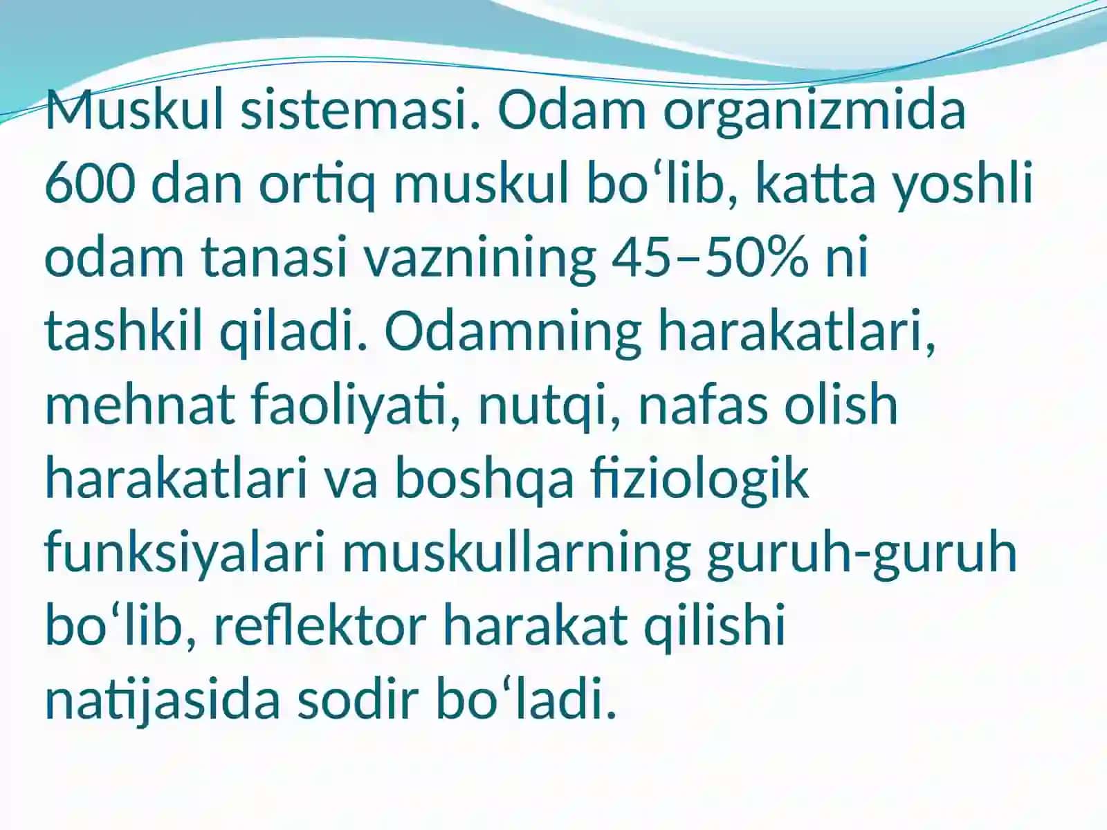 Qo’zg’aluvchan muskullar umumiy fiziologiyasi 3