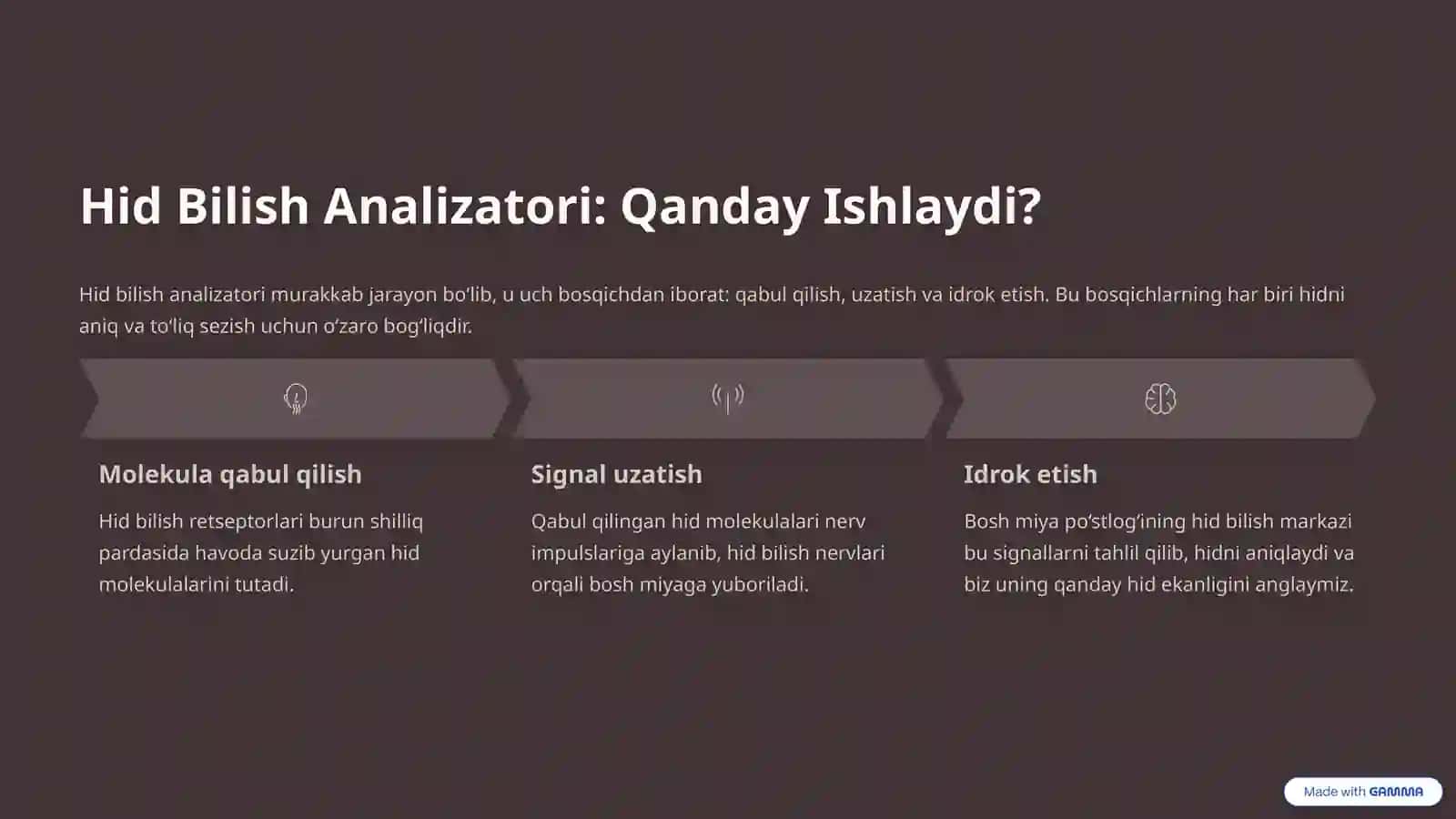 Hid Bilish A’zosi: Insonning Muhim Sezgi Organlari 3