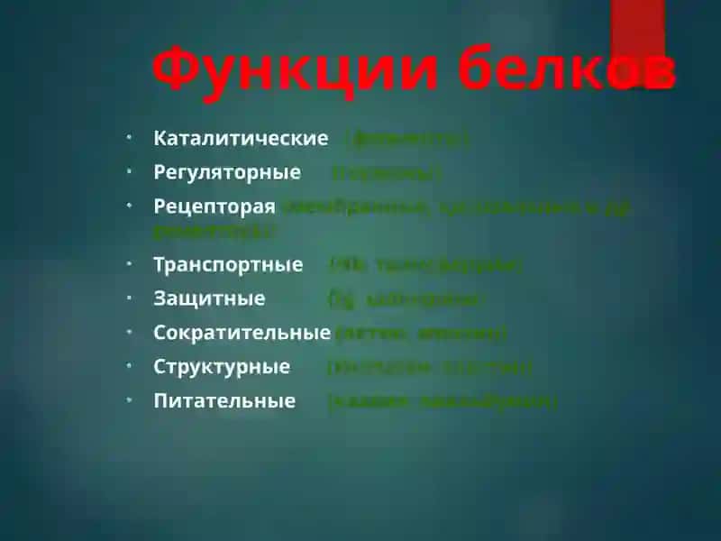 Строение и функции белков 3