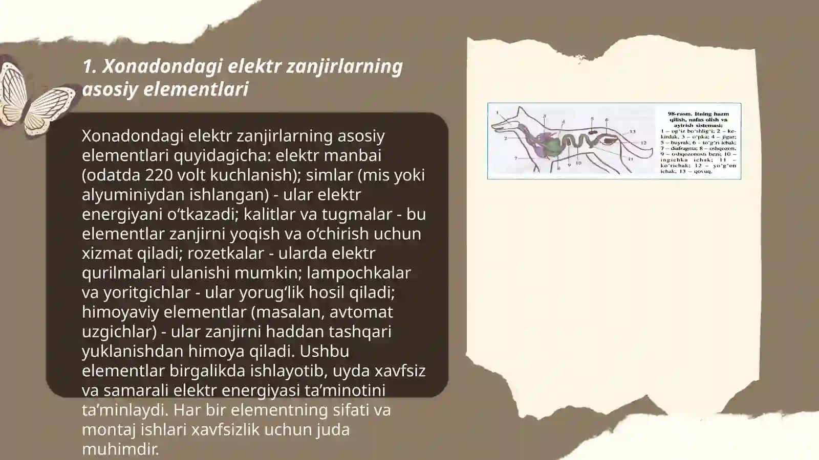 Xonadondagi elektr zanjirlar va tuzilishi 3