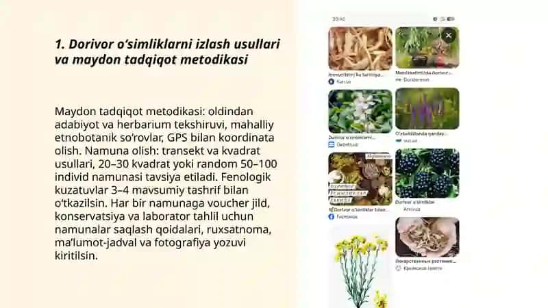 Dorivor oʻsimliklarni izlab topish morfologiyasi oʻrganish 3