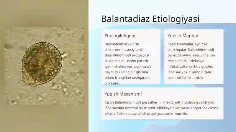 Balantadiaz 3
