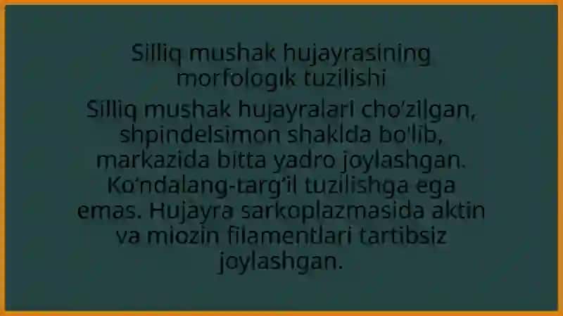 Silliq mushaklar fiziologiyasi (KIRISH) 3