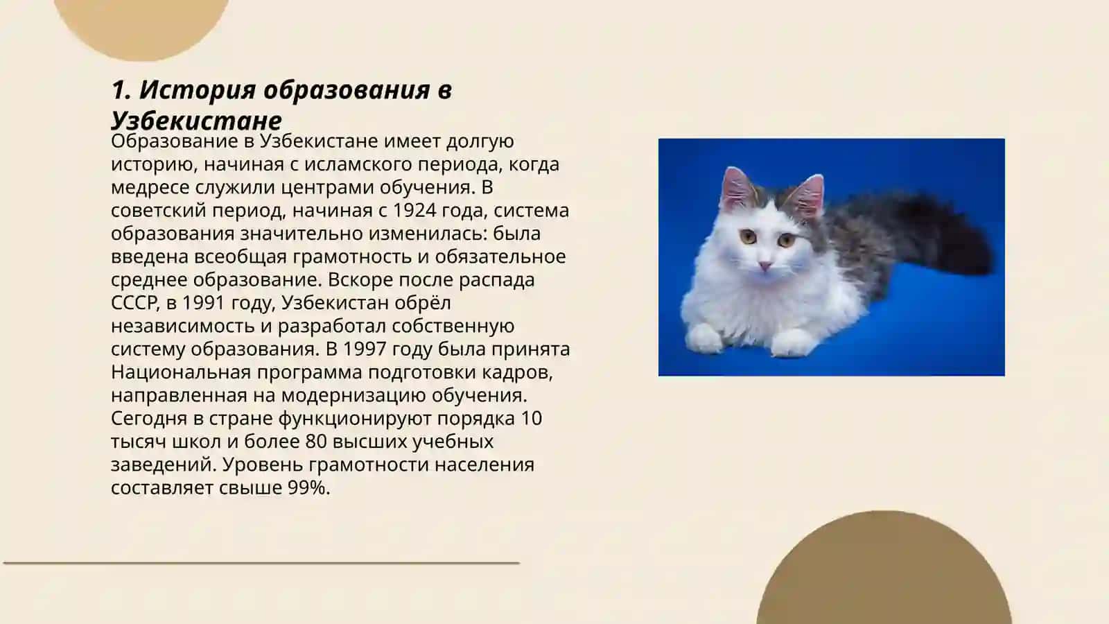 Образование в Узбекистане (нормативные акты) 3