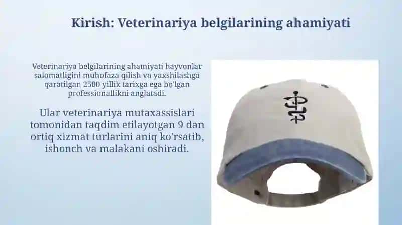 Veterinariya ramzlarining kelibchiqishi 3