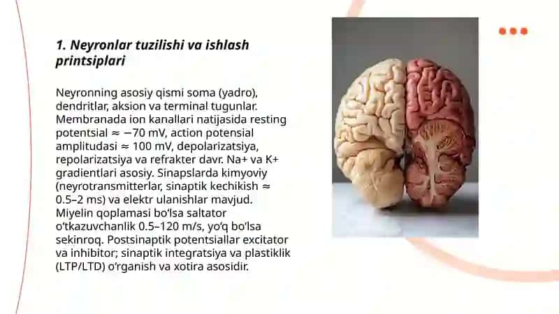 Bosh miyaning ishlash tamoyillari 3