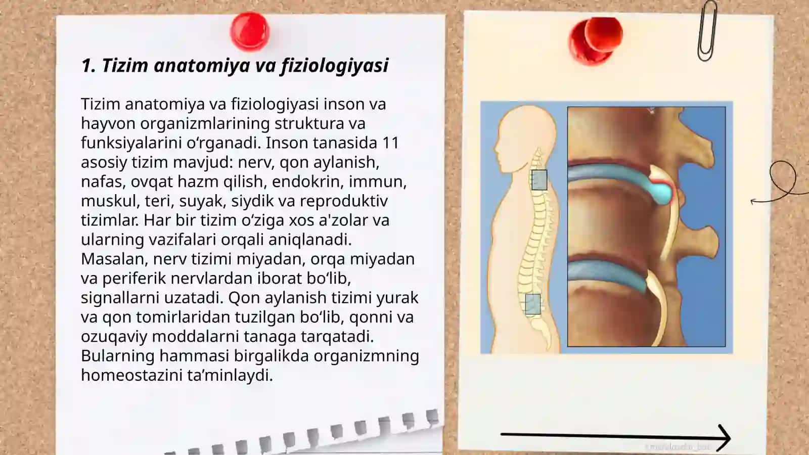 Harakat- tayanch aparatining shikastlarida ambulator sharoitda reabilitatsiyasi 3