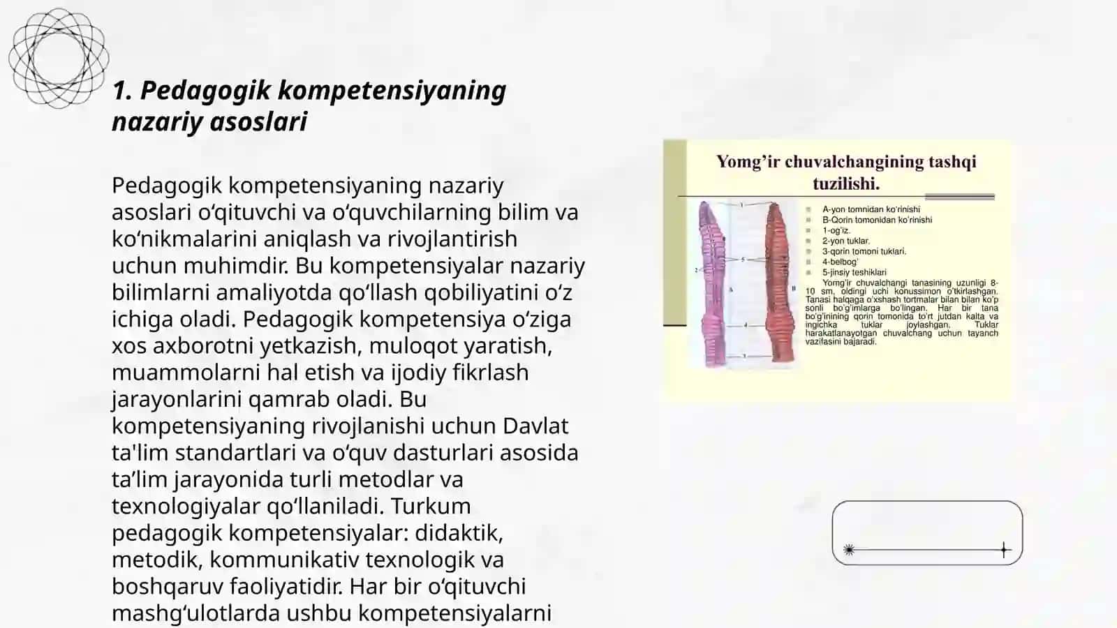 Pedagog kasbiy komponentligi yo'nalishlari va tuzilishi 3