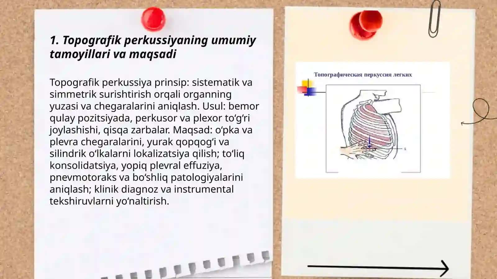 Topografik perkussiya, perkutor tovush va o’pka chegaralarining norma va patologiyada xususiyatlari 3