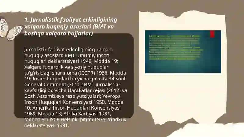 Jurnalistik faoliyat erkinligi: xalqaro va milliy normalar 3