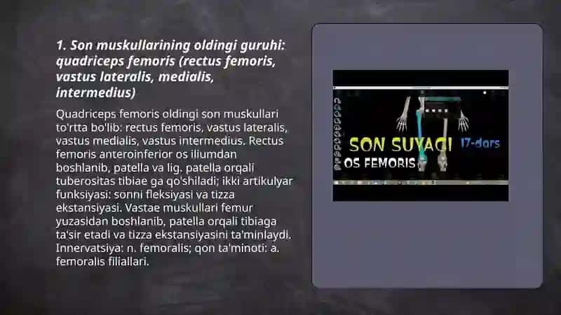 Chanoq va son mushaklari 3