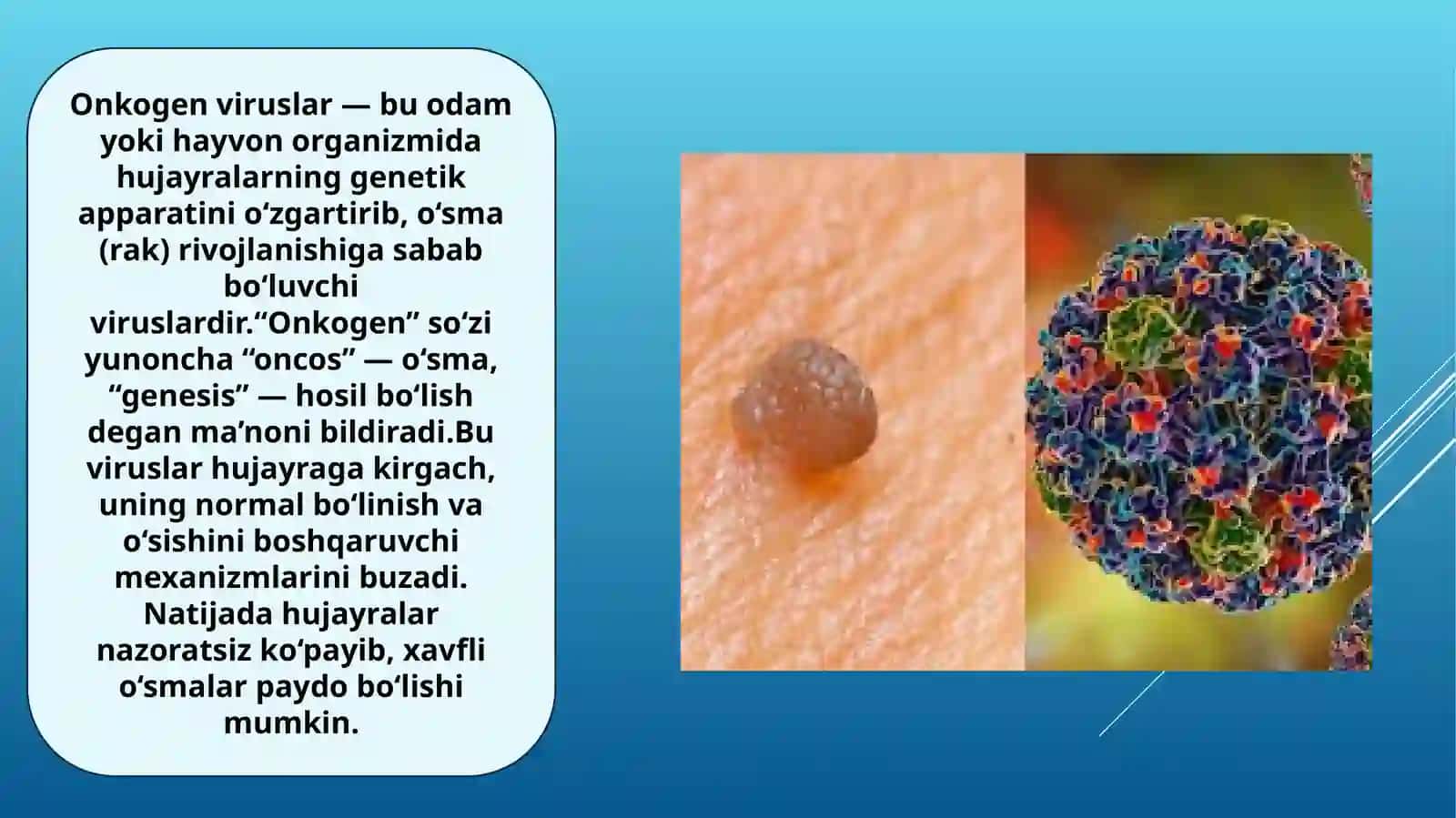 Taqdimot mustaqil ish 3