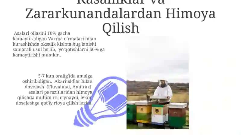 Paket Asalarichilik va uning Texnologiyasi 3