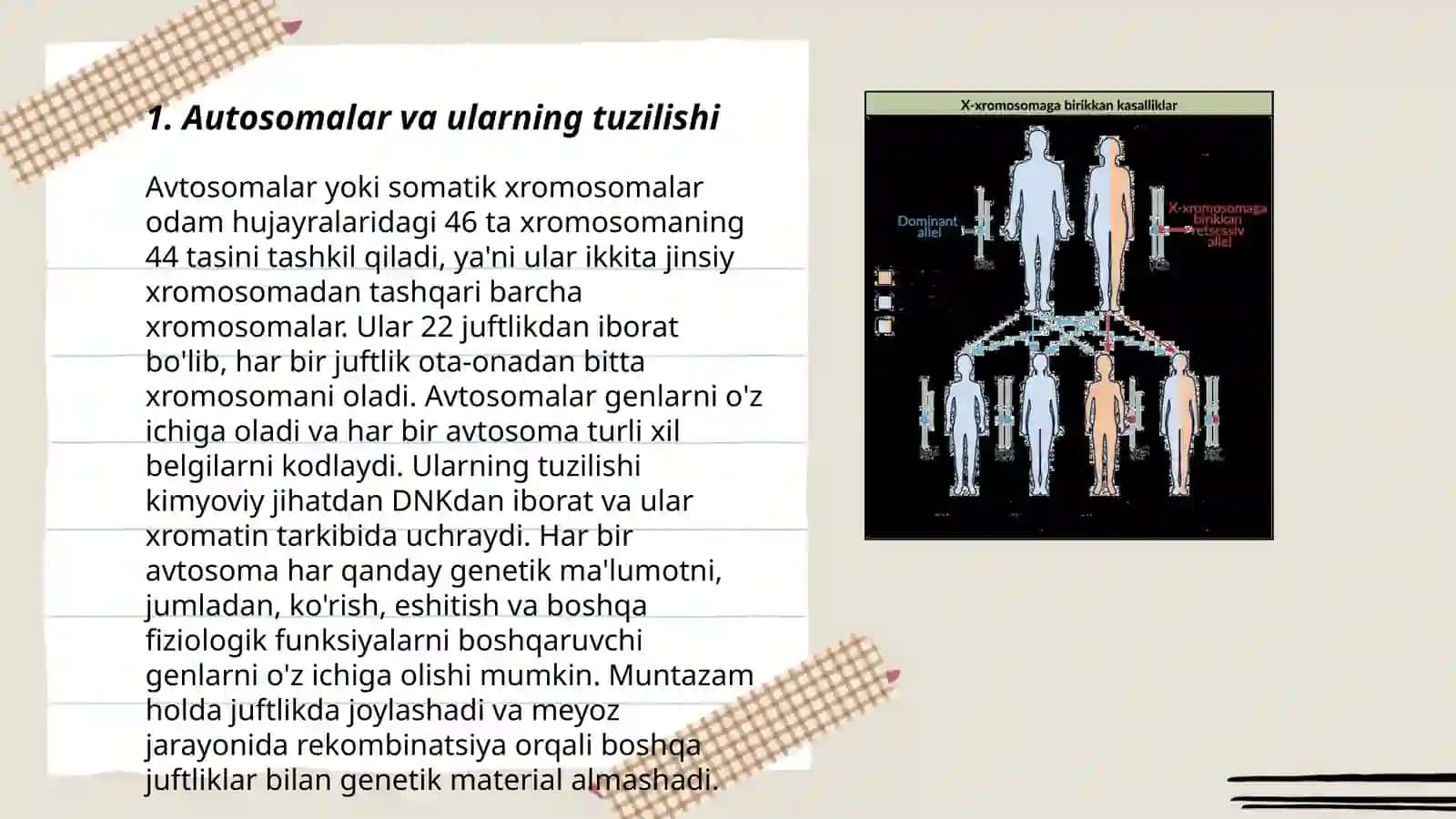 Autosomalar bilan bogʻliq belgilarning irsiylanishi 3