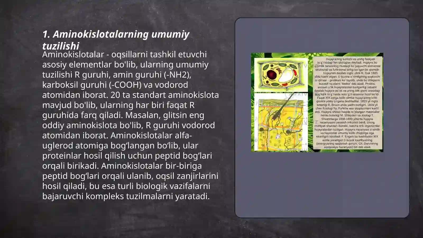 Aminokislotalar.Tuzilishi,hissalari va biologik vazifalari 3