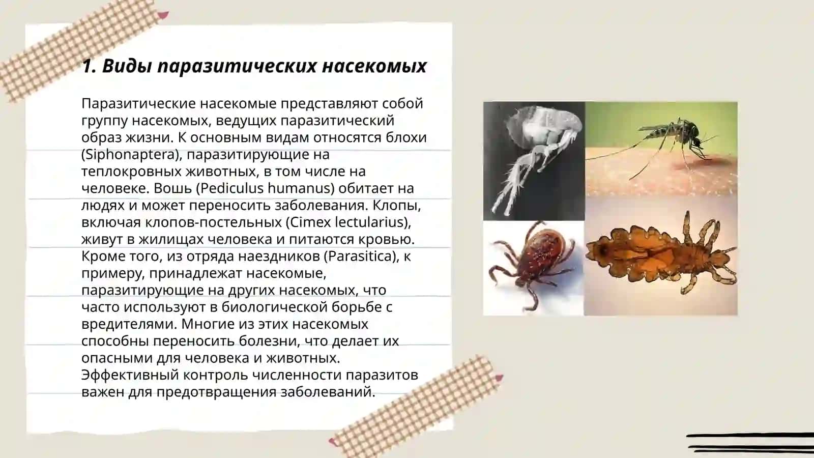 Насекомые паразиты 3