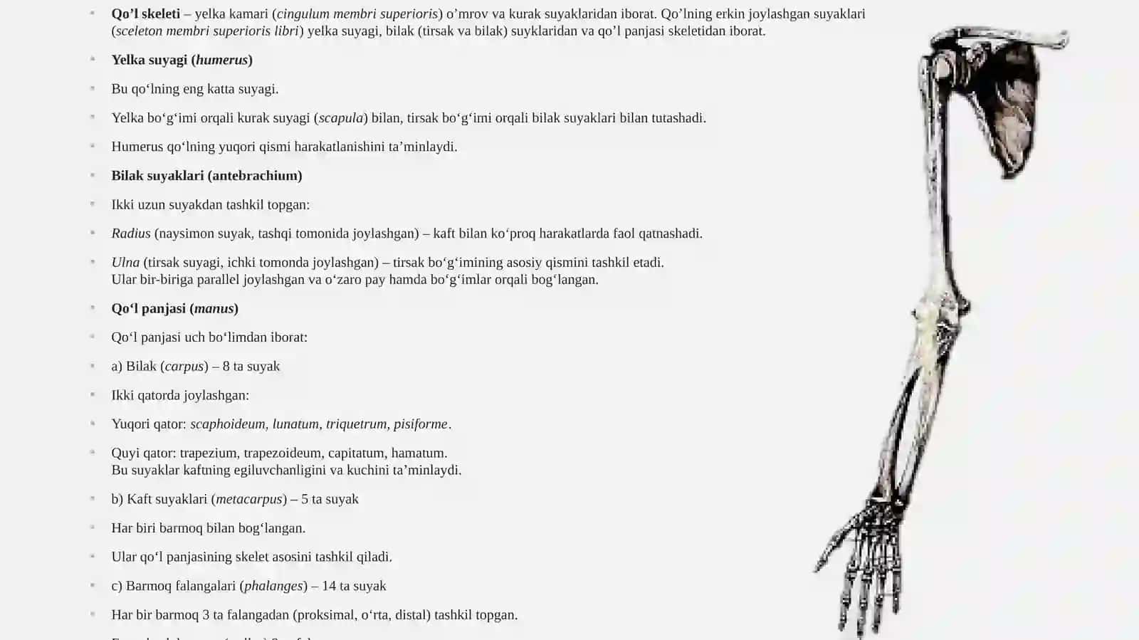Yelka kamari va qo’l erkin suyaklari qismi suyaklari: tuzilishi, yoshga doir xususiyatlari 3