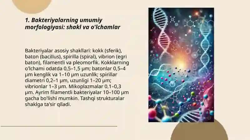 Bakteriyalarning morfologiyasi rikketsiyalar,aktinomisetlar,xlamidiyalar,mikoplazmalar,zamburuğlar,sodda jonivorlar 3