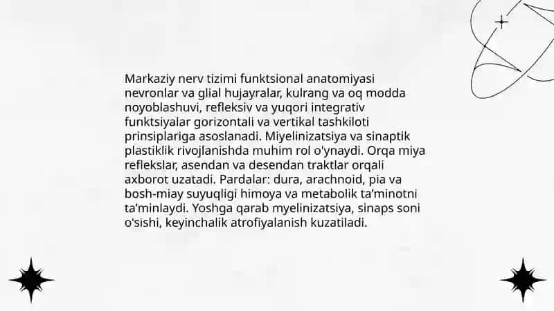 Markaziy nerv tizimining funktsional anatomiyasi 3
