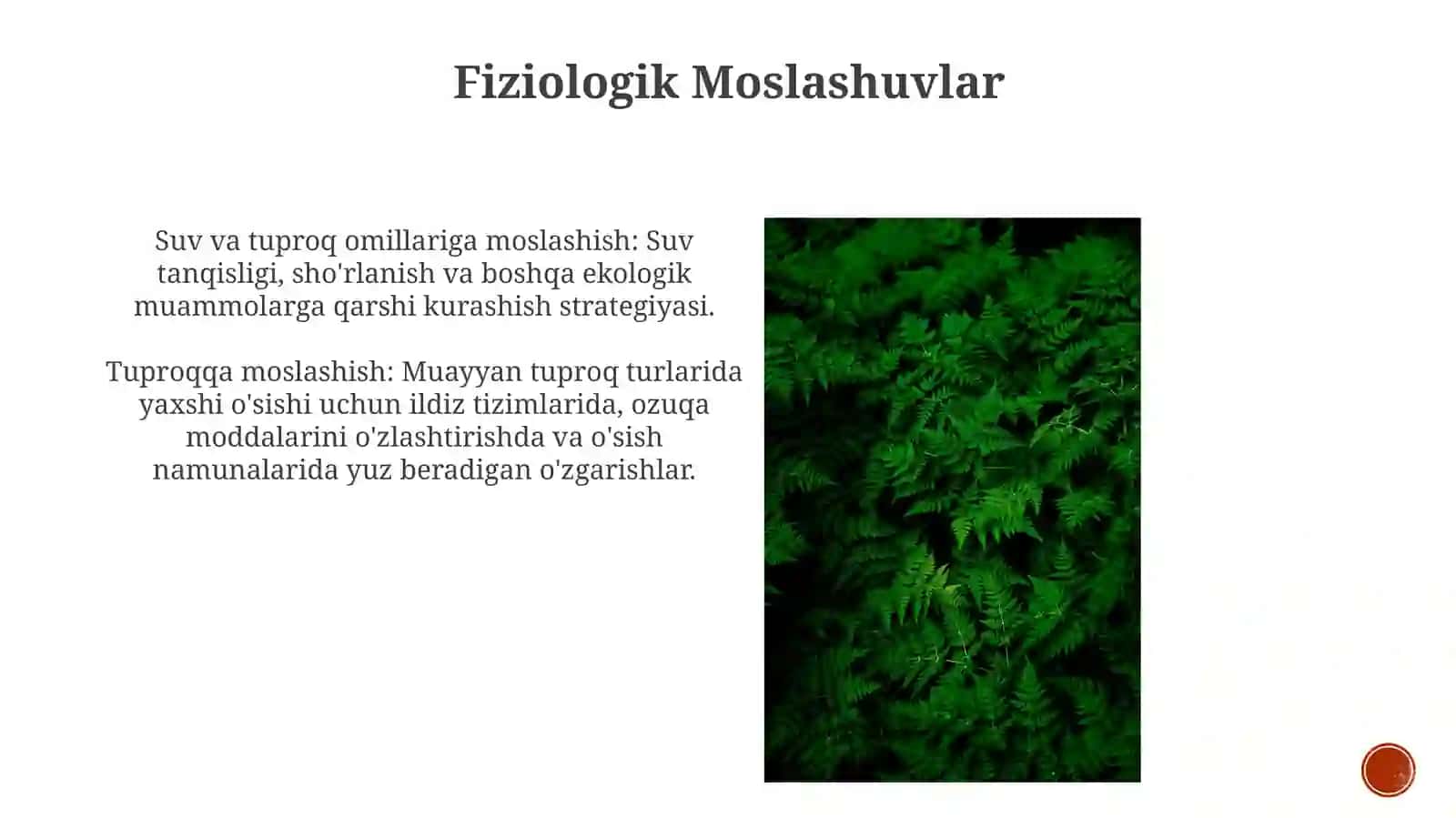 Moslashuvlar 3