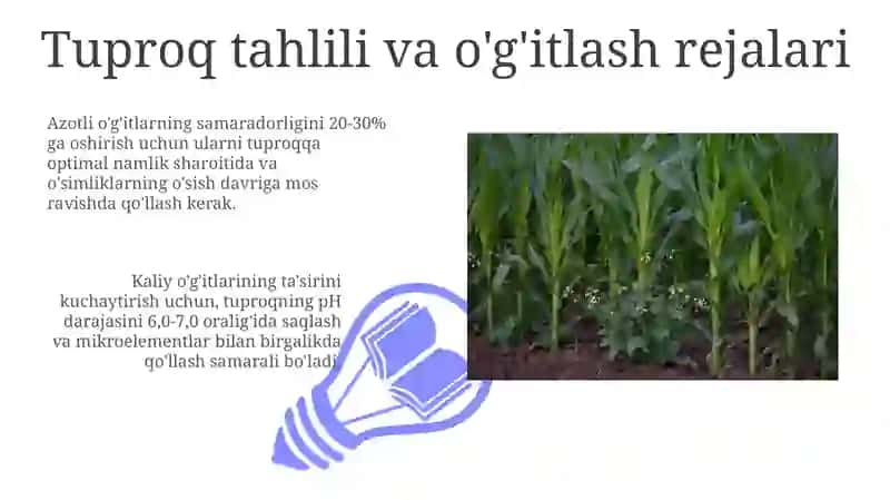 O'g'itlarni qo'llash va uning samaradorligini oshirish choralari 3