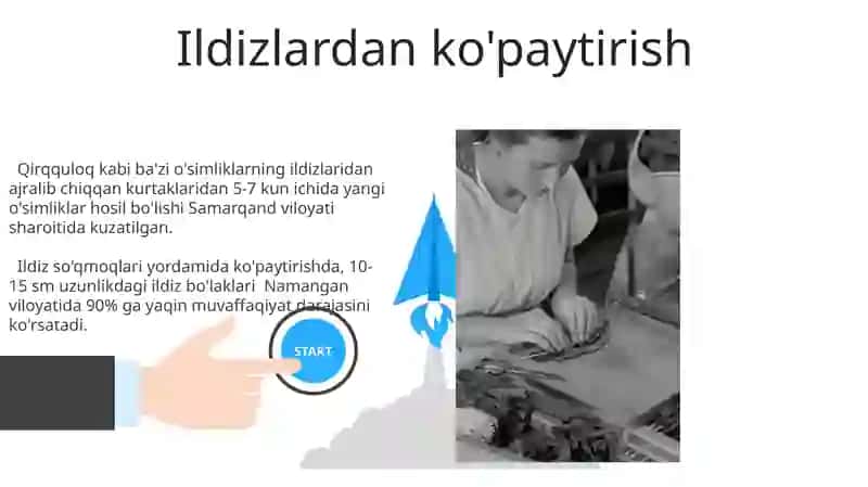 Oʻzimliklarning vegitativ koʻpayishi 3