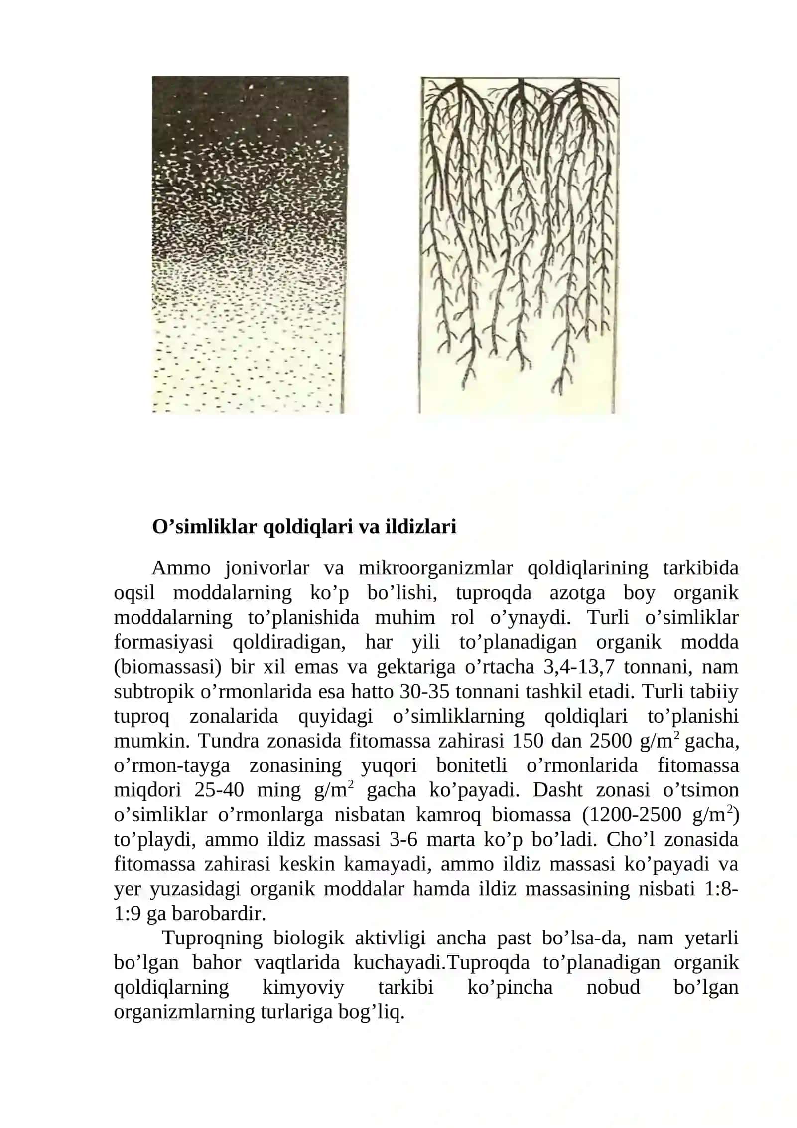 O'rganik tuproqni tahlil qilish 3