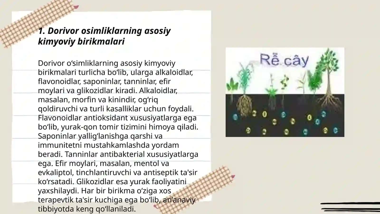 Dorivor Osimliklarning kimyoviy tarkibi 3