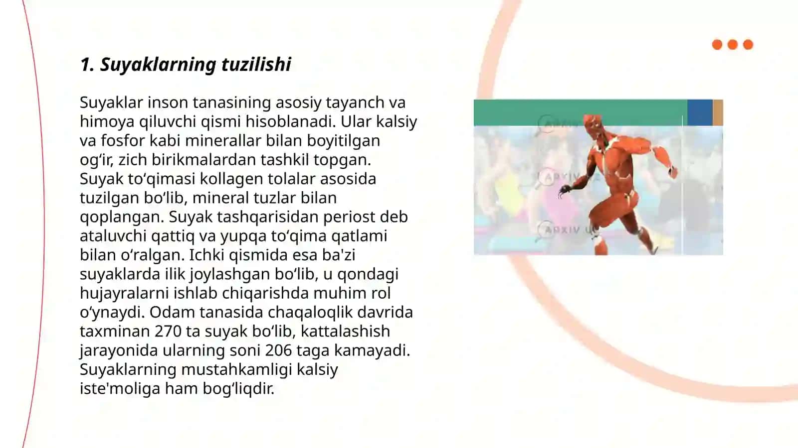 Organizmdagi suyaklarning tuzilishi, ularning yosh xususiyatlari va xillari.Bolalarda qaddi-qomatning shakllanishi va kamchiliklari 3