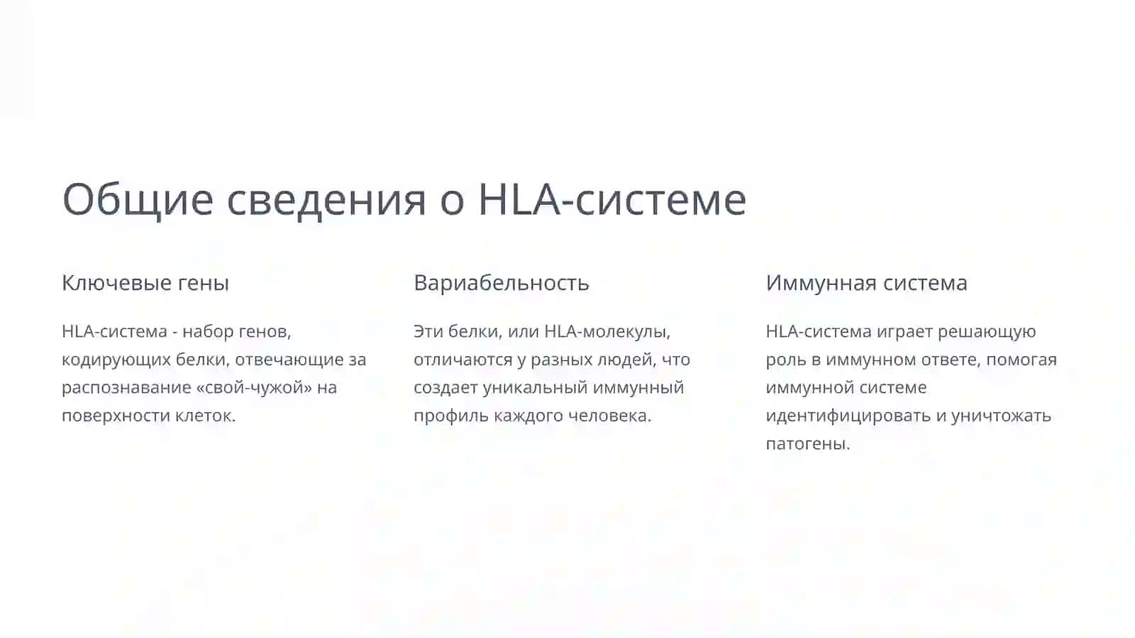 HLA-система, Цитокины и Интерфероны: основы иммунитета 3