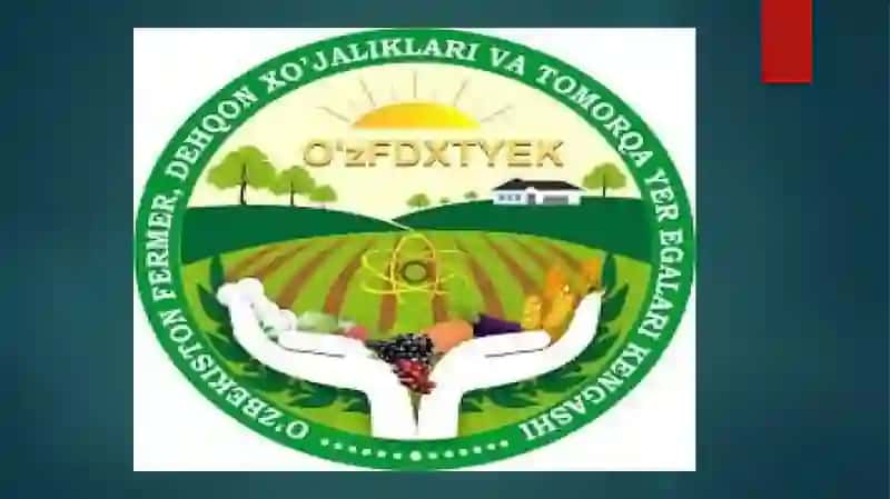 FERMER XO`JALIKLARI FAOLIYATI IQTISODIY ASOSLARI VA UNI TAKOMILLASHTIRISH YO`LLARI 3