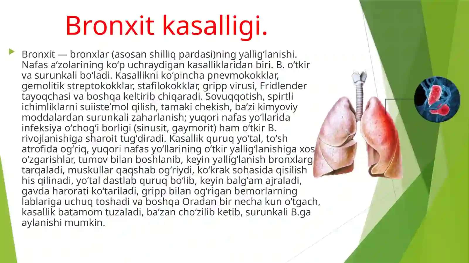 Bronxit kasalligining qo’zg’atuvchilari, patogenezi va laboratoriya tashhisi. Gemofil bakteriyalarni (inflyuensa tayoqchasi, yumshoq shanka qo’zg’atuvchisi) amaliyotdagi ahamiyati, tashhisi 3