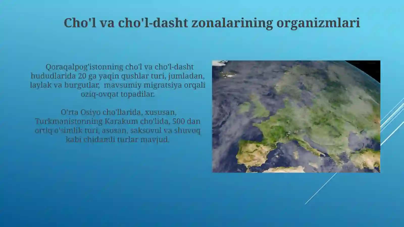 Issiq iqlim mintaqalarining tabiiy zonalaridagi tirik organizmlar tarqalishi 3