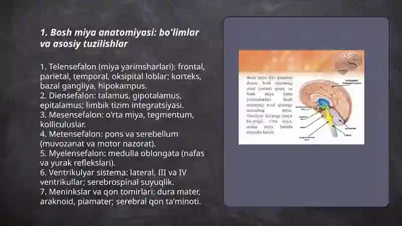 Bosh miya va orqa miya 3
