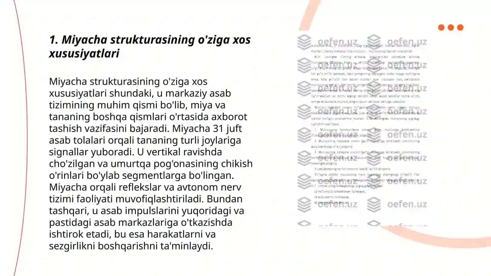 Miyacha sito va mieloarxitektonikasi 3