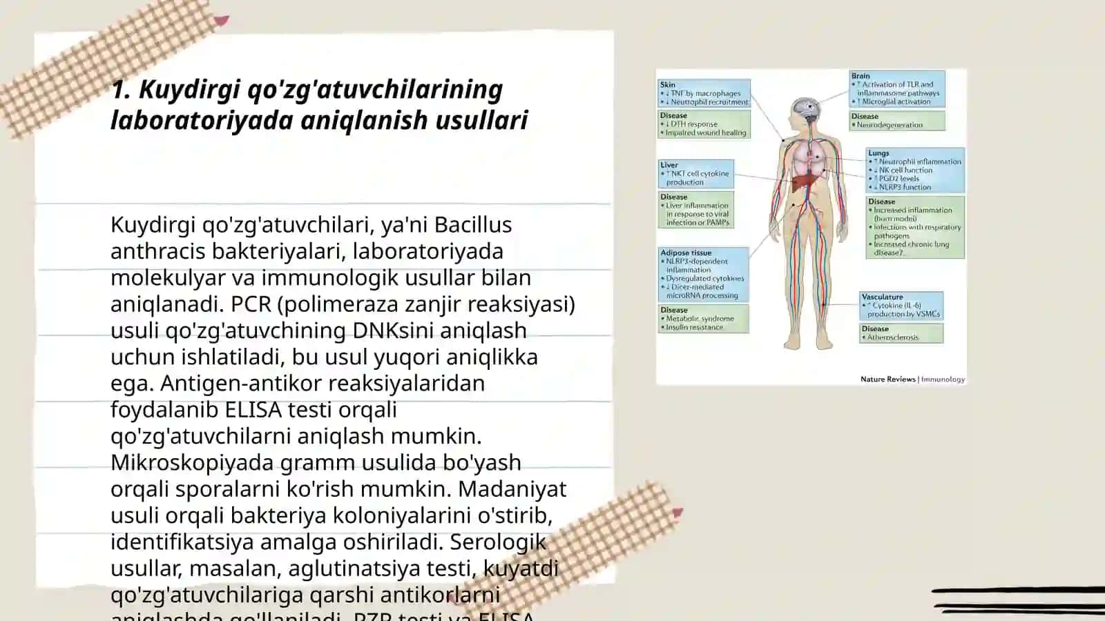 Kuydirgi va O'lat Qo'zg'ativchilari Labaratoriya Tashxisi 3