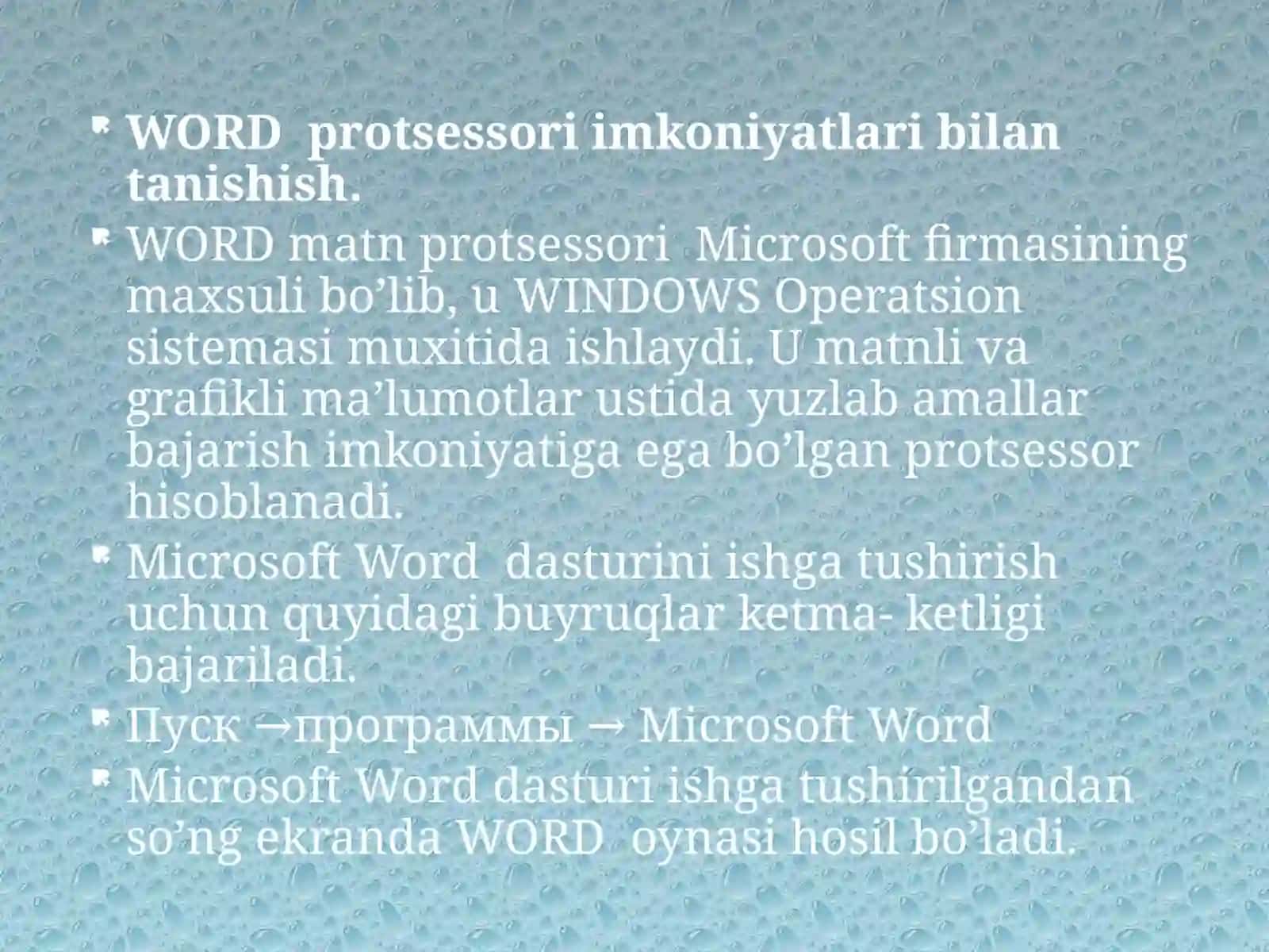 Matn muharriri MS word dasturi 3
