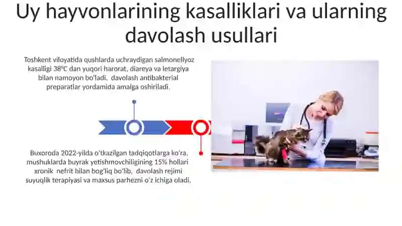 Veterinar kasbi 3