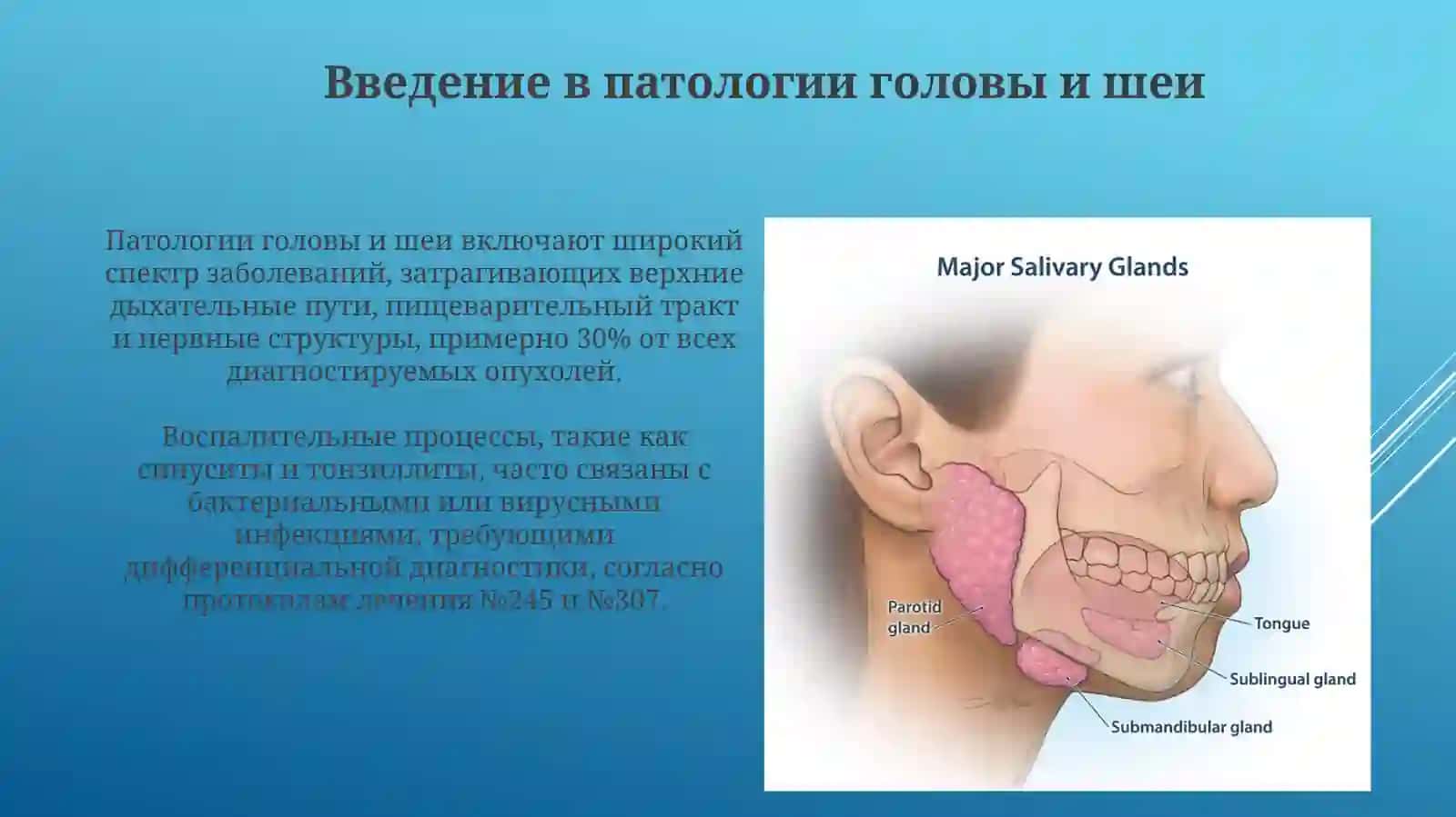 Воспалительные и опухолевые заболевания ЛОР-органов и слюнных желез 3