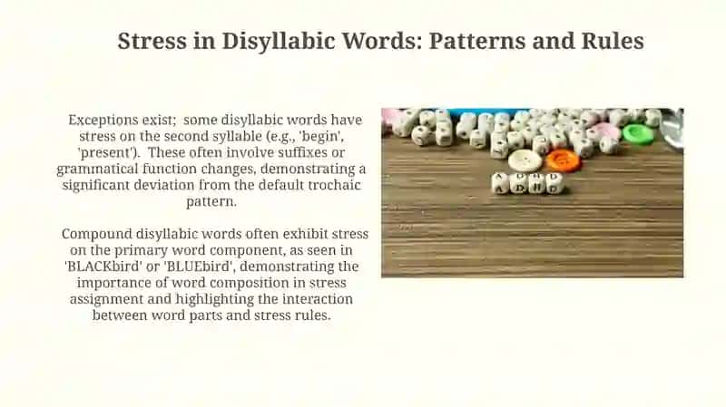 Stress in two syllable words compound words and longer words 3