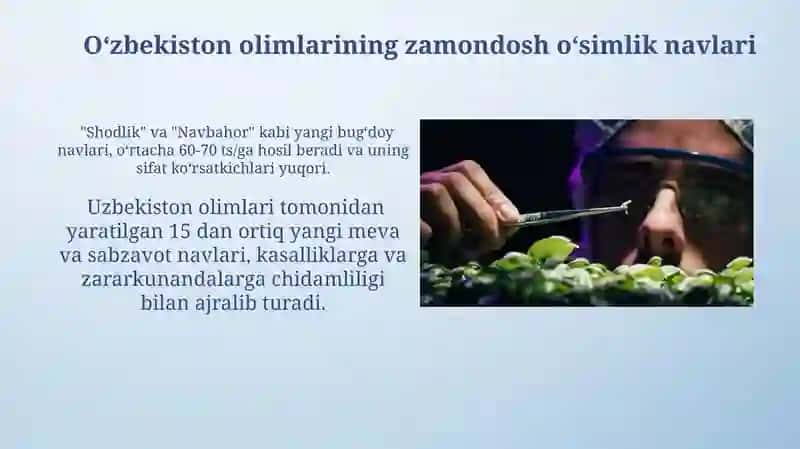 Oʻzbekiston olimlari tomonidan yaratilgan zamonaviy o'simlik navlari 3