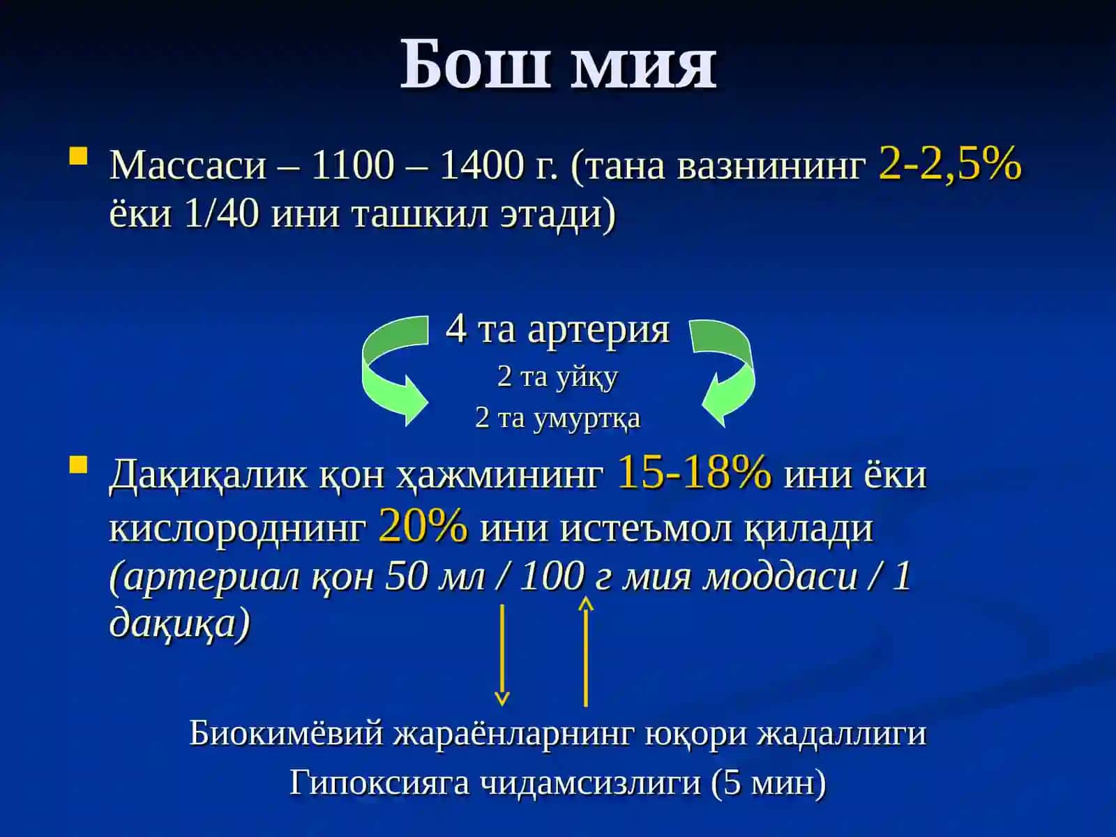 КАЛЛА ВА БОШ МИЯНИНГ ЖАРРОҲЛИК АНАТОМИЯСИ 3