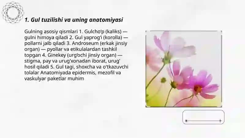 Gul tuzilishi va uning anatomiyasi 3