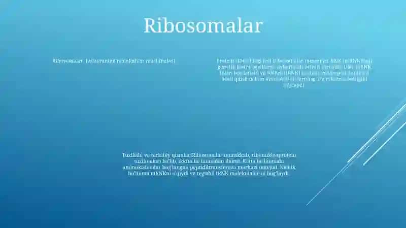 Biologik Hujayraning Molekulyar Jixozlanishi 3